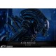 Aliens Movie Masterpiece Action Figure 1/6 Alien Warrior 35 cm